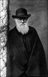cover image forThe Works of Charles Darwin. Electronic Edition.